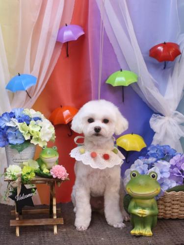 20230615ミルクくん